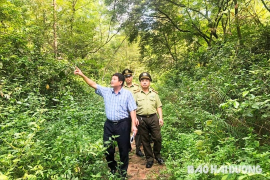 Chí Linh tăng cường phòng chống cháy rừng tại Lễ hội mùa thu Côn Sơn - Kiếp Bạc 2023
