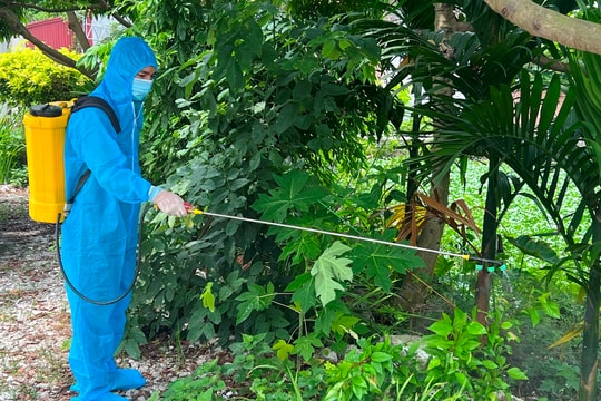 Số ca mắc sốt xuất huyết ở Hải Dương tăng đột biến