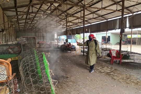 Kỹ thuật phun khử trùng tiêu độc