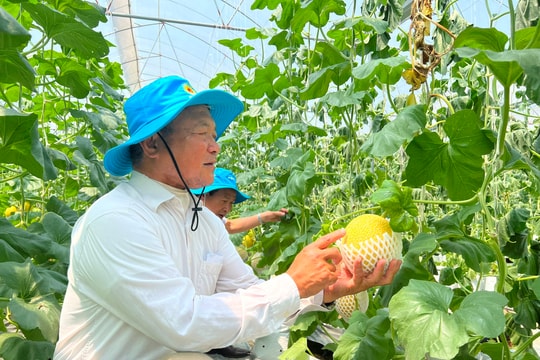 46 products of Hai Duong cooperatives win OCOP certification