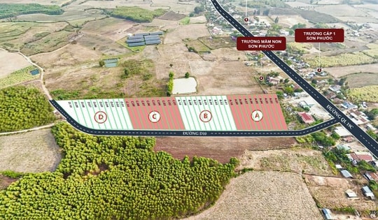 Vẽ dự án đô thị trên đất nông nghiệp: Chủ đất nói công ty môi giới "nói quá"