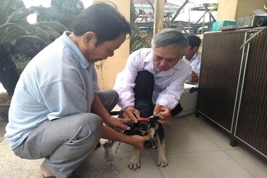 11 trường hợp tử vong do bệnh dại ở Gia Lai