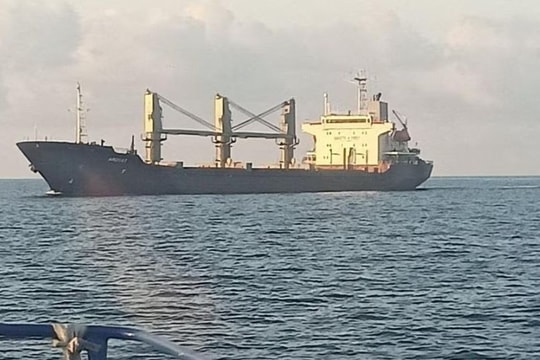 Tàu ngũ cốc lớn đầu tiên của Ukraine rời cảng Biển Đen