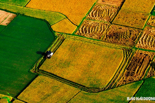 "Thung lũng vàng" xứ Lạng
