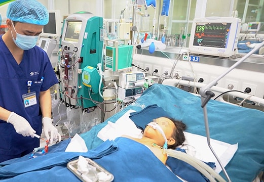 Bị ong đốt hơn 100 nốt, bé trai 10 tuổi ở Hải Dương tử vong