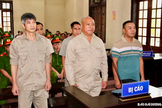 Xét xử phúc thẩm vụ Thủy “gỗ” và đồng phạm