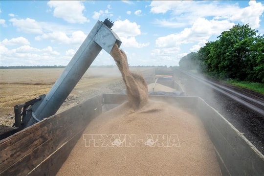 Nga đề xuất biện pháp giải quyết ngũ cốc thừa của Ukraine