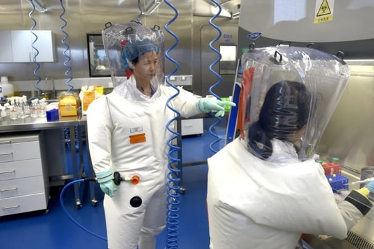 Nhà khoa học "người dơi" Trung Quốc cảnh báo virus Corona có thể lại bùng phát