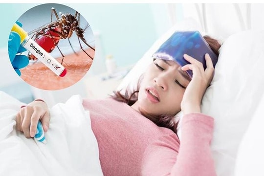 Cách chăm sóc người bệnh sốt xuất huyết
