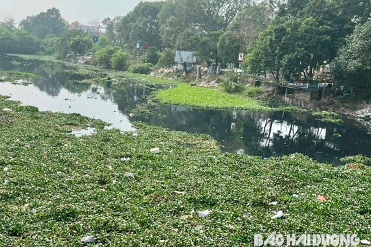Nước sông Bắc Hưng Hải thường xuyên có thông số vượt quy chuẩn môi trường cho phép nhiều lần