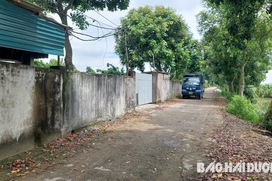 Nông dân thiệt hại nặng vì mua lợn giống từ trang trại chăn nuôi Thành Hiền 