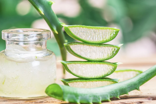 Công dụng tuyệt vời của nha đam trong làm đẹp