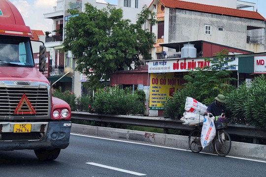 Bất chấp nguy hiểm, nhặt phế liệu trên quốc lộ 5