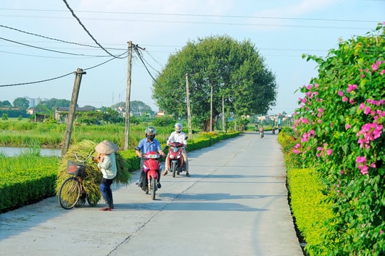 Những con đường "kiểu mẫu" ở Cẩm Giàng