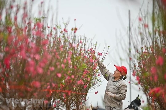 Bộ Nội vụ thống nhất nghỉ Tết Nguyên đán năm 2024 kéo dài 7 ngày