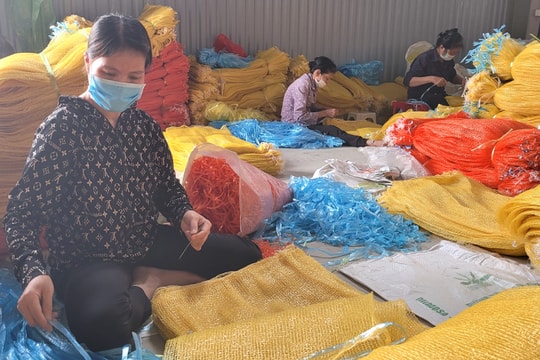 Hơn 1.000 gia đình phụ nữ Hải Dương thoát nghèo