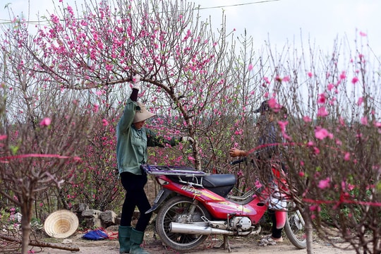 Vì sao không nghỉ Tết sớm hơn?