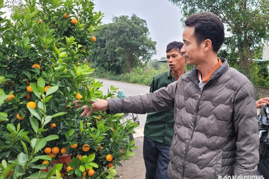 Nghỉ Tết ngày nào cho thuận?