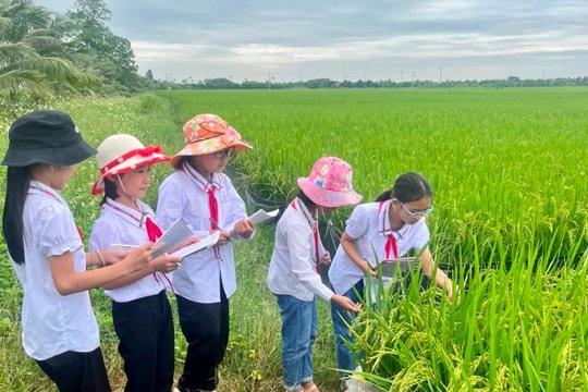 Thú vị lớp học trải nghiệm
