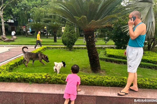 Hải Dương hưởng ứng Ngày thế giới phòng chống bệnh dại