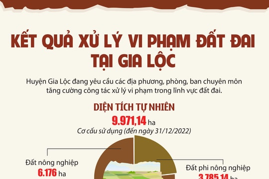 Gia Lộc lập biên bản 782 hộ vi phạm đất đai