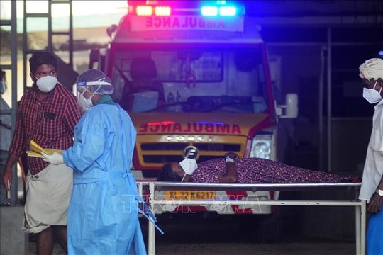 Indonesia kêu gọi cảnh giác với virus Nipah