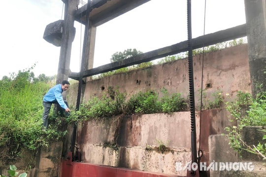 Nhiều cống dưới đê ở Hải Dương xuống cấp chưa được xây mới, vì sao?