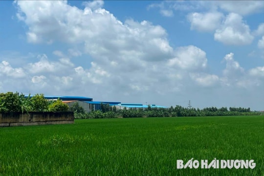Cấp giấy chứng nhận quyền sử dụng đất đối với khu công nghiệp Gia Lộc