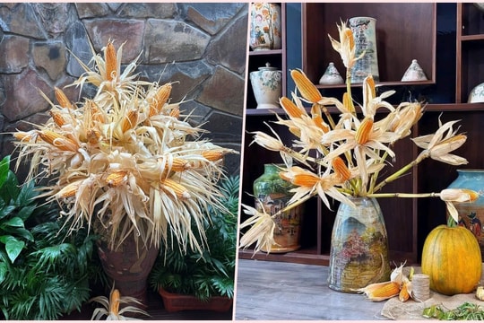 Rộ mốt cắm ngô chơi cả tháng thay hoa tươi