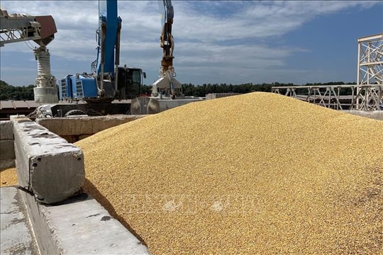 Ba Lan, Ukraine đạt đột phá đầu tiên trong giải quyết "cuộc chiến ngũ cốc"
