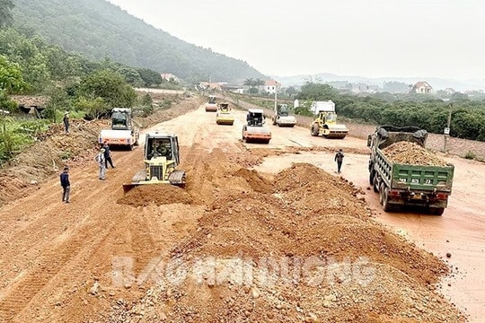 Chuyển mục đích sử dụng gần 8,2 ha rừng sản xuất ở phường Bến Tắm