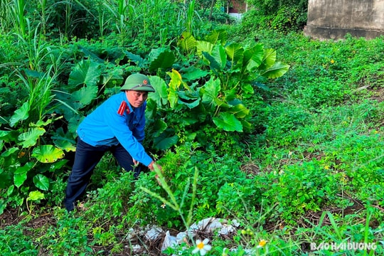 Vất vả kiểm soát viên đê điều