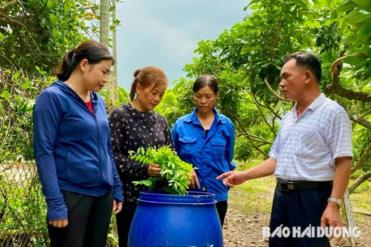Thanh Miện thực hiện công việc đột phá về vệ sinh môi trường
