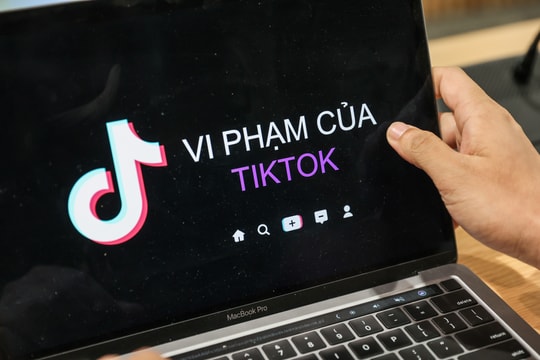 Kiểm tra TikTok tại Việt Nam, mạng xã hội này vi phạm những gì?