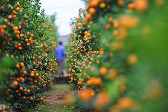 Vietnam to enjoy 3-day break for New Year