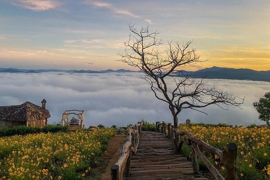 5 điểm đến mùa thu "lãng mạn nhất Việt Nam"