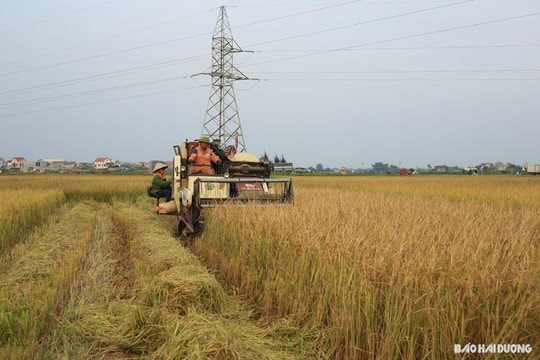 Kinh Môn đề nghị tháo gỡ vướng mắc giải phóng mặt bằng phần diện tích đất phụ cận