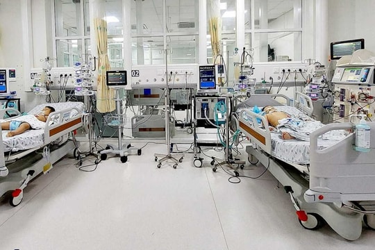 2 anh em tổn thương gan thận vì ong vò vẽ đốt