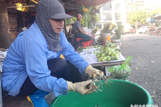 Giá cà ra tăng