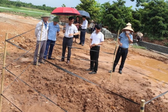 Khai quật khẩn cấp kiến trúc mộ gạch ở huyện Đan Phượng, Hà Nội