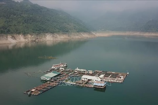 Nuôi cá lồng gắn với phát triển du lịch