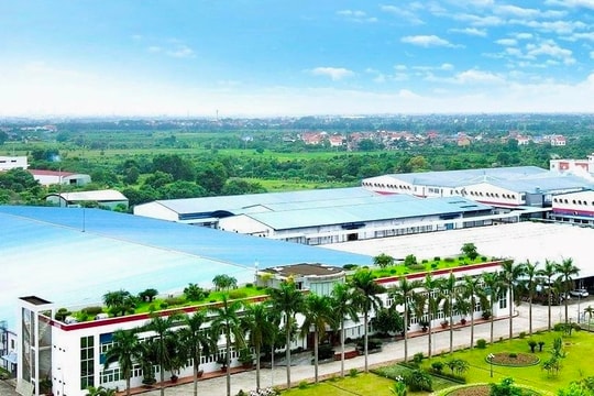 Công ty TNHH May Tinh Lợi giảm khoảng 2.500 tấn khí thải CO2 nhờ điện năng lượng mặt trời