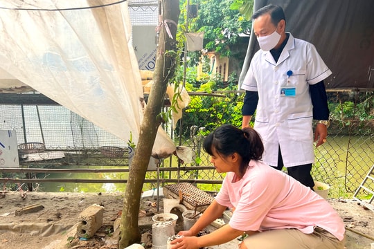 Hải Dương liên tiếp xuất hiện 3 ổ dịch sốt xuất huyết mới
