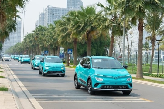 Taxi điện của tỷ phú Phạm Nhật Vượng sẽ có mặt tại Hải Dương vào cuối tháng 10