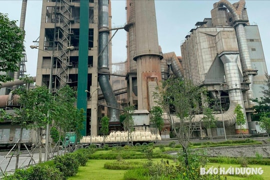Thanh tra 4 đơn vị ở Hải Dương về chấp hành pháp luật bảo vệ môi trường và tài nguyên nước