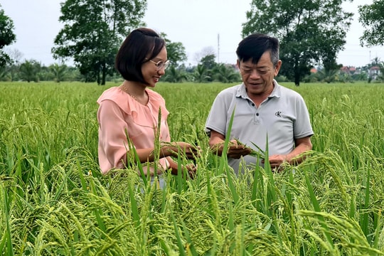 Nhiều xã ở Tứ Kỳ khó về đích nông thôn mới nâng cao