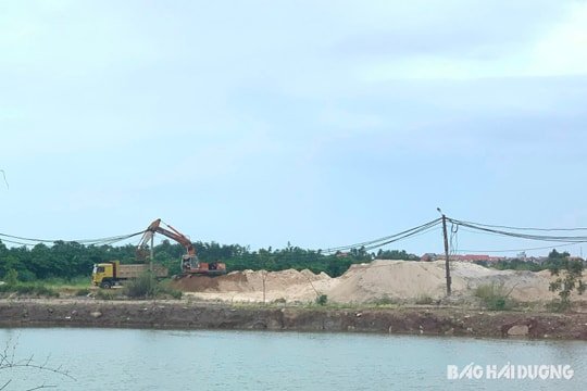 UBND tỉnh Hải Dương chỉ đạo liên quan dự án ngoài đê của Công ty CP Xây dựng và Thương mại Phượng Hoàng