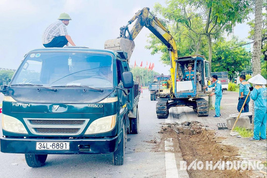 Cải tạo công viên Bạch Đằng