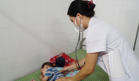 Người nhiễm giun đũa chó mèo ngày càng nhiều, có thể tổn thương gan, mắt, não, phổi