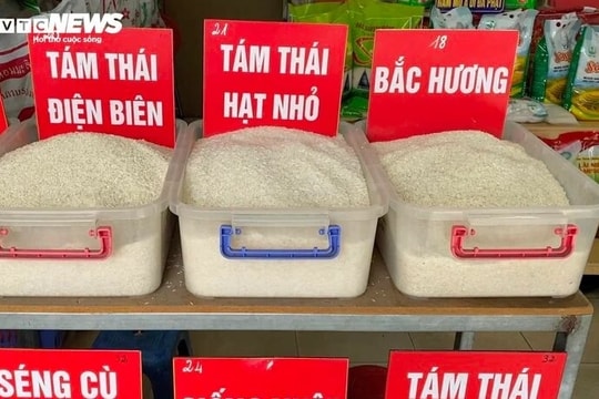Giá gạo tăng liên tục